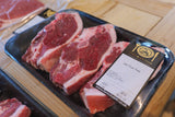 Carnivore Box